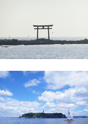 相模湾(葉山)での散骨