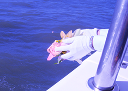 代行(委託)散骨